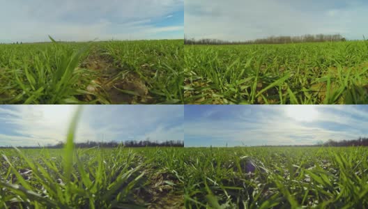 HD Motion Time-Lapse: Cloudscape Over A Meadow:云景牧场高清在线视频素材下载