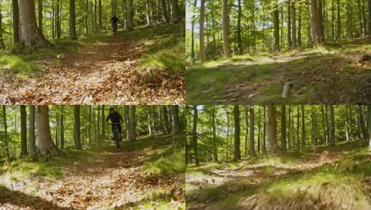 SLO MO山下摩托车飞驰穿过森林高清在线视频素材下载