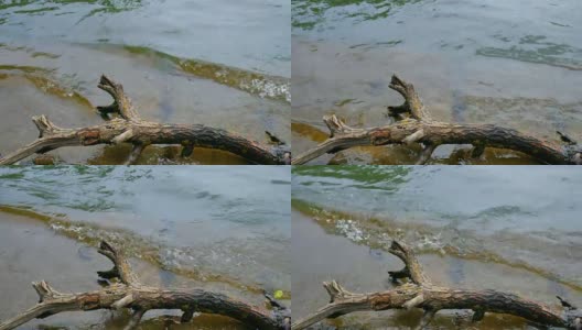 水中有木钩。高清在线视频素材下载