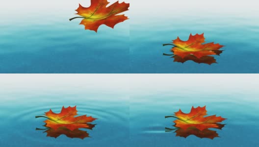 秋叶落在清澈的水面上高清在线视频素材下载