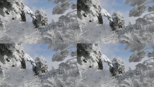 黄山雪景4k高清在线视频素材下载