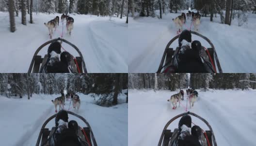 芬兰拉普兰的哈士奇雪橇高清在线视频素材下载