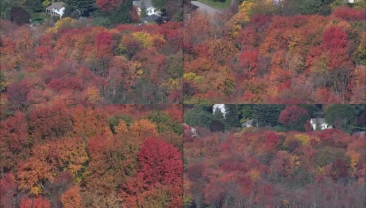 飞行过去秋天颜色附近的列克星敦-鸟瞰图-马萨诸塞州，米德尔塞克斯县，美国高清在线视频素材下载