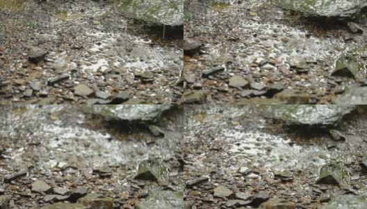 雨落在小径上的岩石上高清在线视频素材下载
