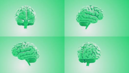 人脑的3D动画高清在线视频素材下载