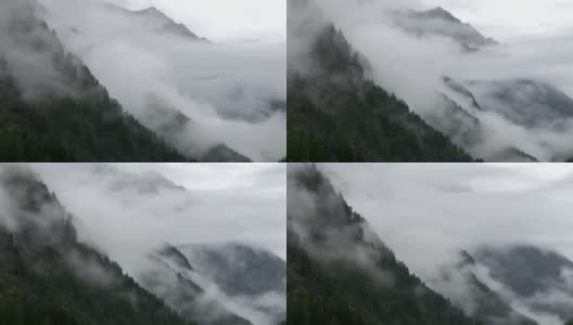 雾升山森林TL高清在线视频素材下载