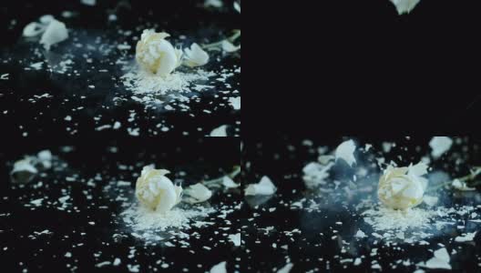 SLO MO冻玫瑰花粉碎在黑色的表面高清在线视频素材下载