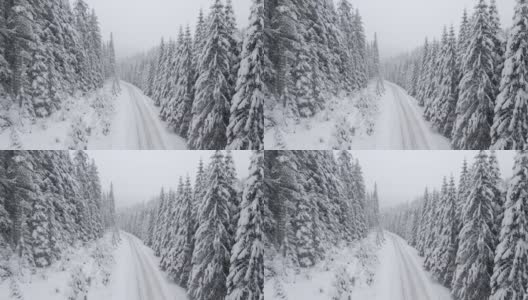 冬季空中旅行在积雪覆盖的松树林地。在山上滑雪度假。高清在线视频素材下载