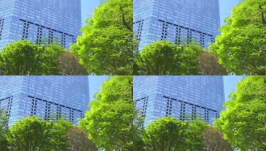 Pan拍摄了美丽的新绿和城市建筑高清在线视频素材下载