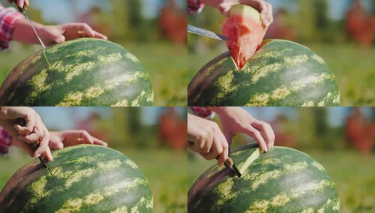 用刀切西瓜。尝尝美味的水果。丰收，有机耕种高清在线视频素材下载