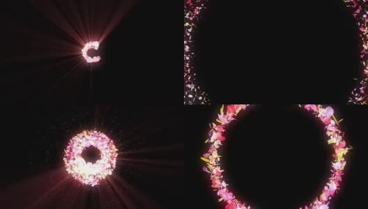 彩色花瓣旋转，CG动画，粒子高清在线视频素材下载