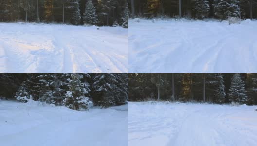 冰雪覆盖的冬季森林路高清在线视频素材下载