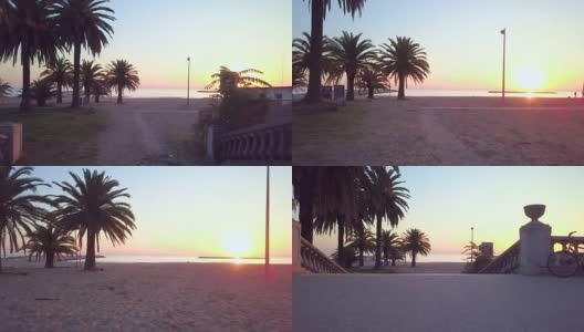 清晨日出海面上的风景，棕榈树的剪影高清在线视频素材下载