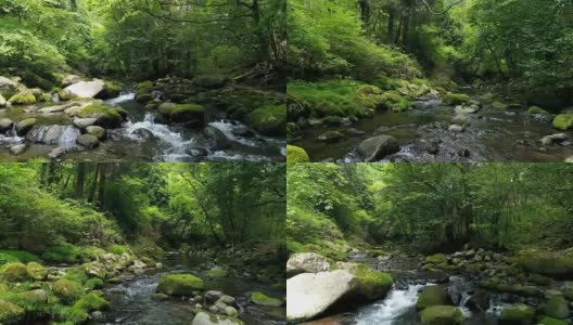 清澈溪流景观高清在线视频素材下载