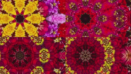 彩色纺纱花曼荼罗背景与复制空间高清在线视频素材下载