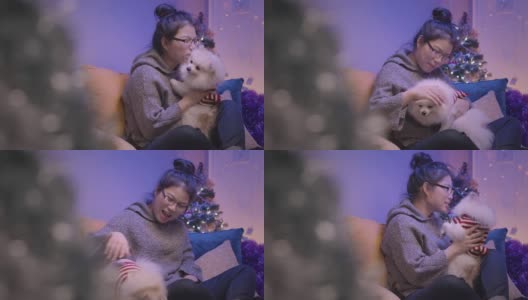 年轻的亚洲迷人的女性女人玩他的大腿狗在客厅的沙发周末假日活动圣诞节日概念高清在线视频素材下载