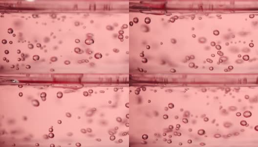 特写粉红玫瑰花透明质酸透明液凝胶高清在线视频素材下载