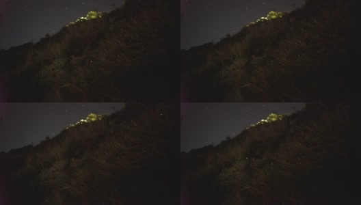 灌木丛中的萤火虫，神奇的大自然的观察，夜晚时光的延时高清在线视频素材下载