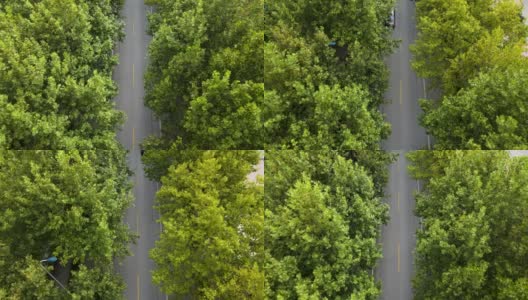 鸟瞰图树木和道路在城市的交通和汽车在街道上移动。高清在线视频素材下载