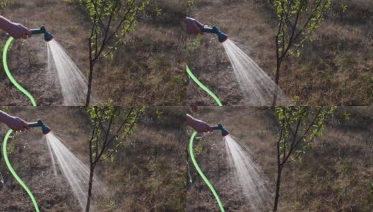 年轻人手持绿色的花园软管和洒水车向花园里的小树喷水高清在线视频素材下载