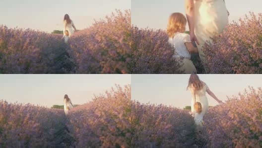 日落时分，母女俩走过一片薰衣草田。热爱自然，香薰，香薰油。自由，幸福，微笑，家人在一起。美丽的花朵。一起用手走高清在线视频素材下载