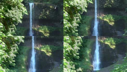 中北瀑布位于俄勒冈州的银瀑布州立公园高清在线视频素材下载