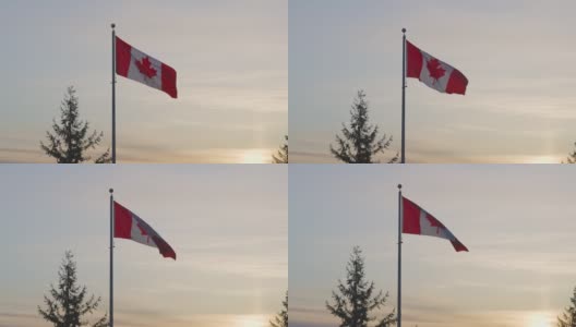 风中飘扬的加拿大国旗。充满活力的日落。高清在线视频素材下载