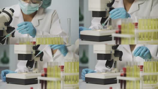 实验室生物学家，在显微镜下观察细菌样本的科学家高清在线视频素材下载