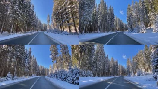 驾车的观点，在雪乡公路通过冬季白色森林高清在线视频素材下载