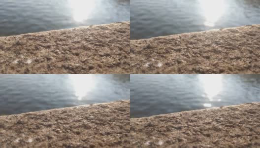 阳光在河堤或湖岸的水中闪闪发光高清在线视频素材下载