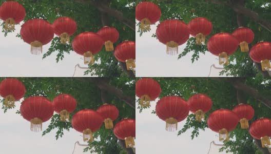 传统的大红灯笼挂在公园的树上庆祝中国新年高清在线视频素材下载