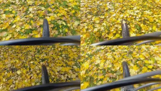 骑自行车的人骑在秋天的落叶上。高清在线视频素材下载