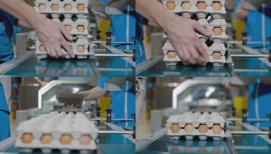 蛋品包装线蛋品生产高清在线视频素材下载