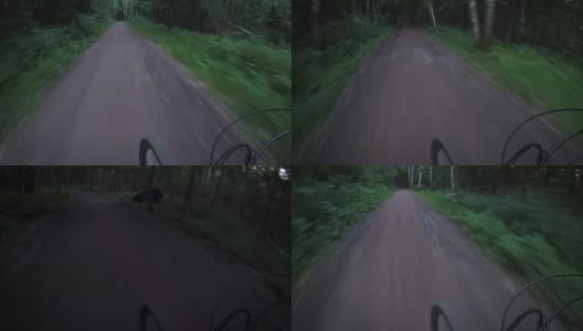 在森林里骑山地自行车高清在线视频素材下载