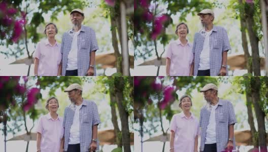 亚洲退休夫妇高清在线视频素材下载