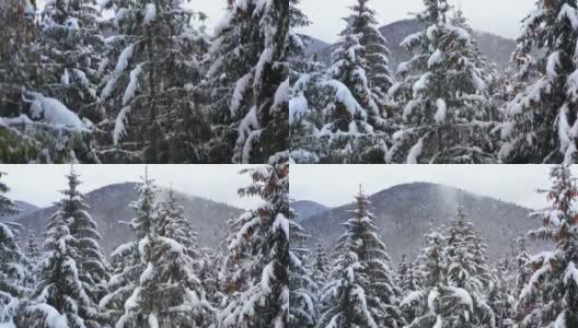 鸟瞰图:冬季森林。白雪覆盖的树枝在冬天的森林里。冬天的风景，森林，树木覆盖着霜，雪。航拍，冬季的山林。滑雪胜地高清在线视频素材下载