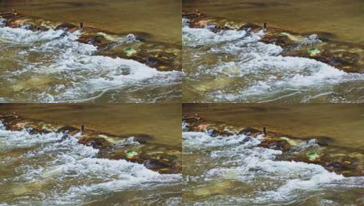 水在河里流过石头，慢动作高清在线视频素材下载