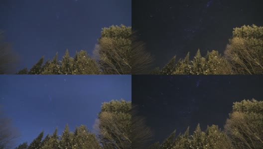 树木，夜空，时间流逝高清在线视频素材下载