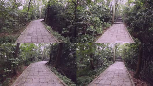 热带雨林公园，混凝土小路和楼梯高清在线视频素材下载