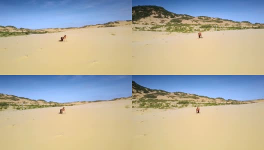 女孩Figure on Sand in Yoga Assana at Hill Upper View高清在线视频素材下载