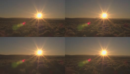 空中低角度:日出时，在茂密的沙漠上空向着太阳低飞高清在线视频素材下载