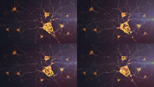 4 k神经元活动。高清在线视频素材下载