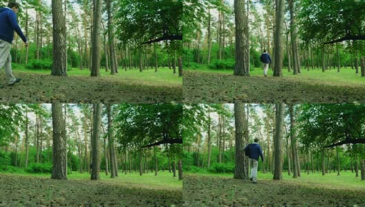 一个背着背包的人走在松树附近的森林里。高清在线视频素材下载