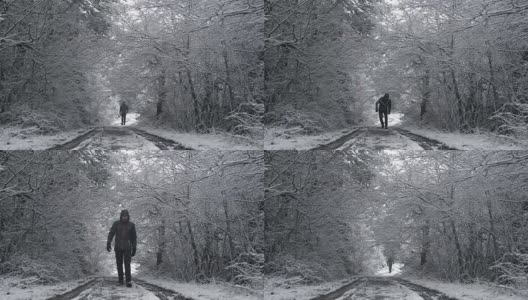 那个人在下雪的天气下走在树间的小路上。高清在线视频素材下载