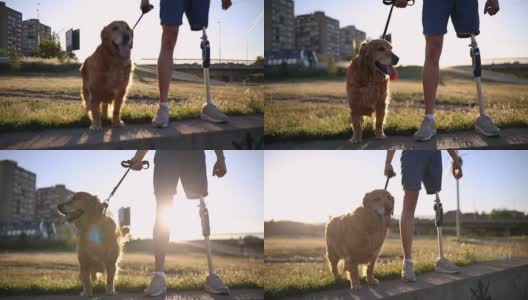 一个残疾人和他的狗高清在线视频素材下载