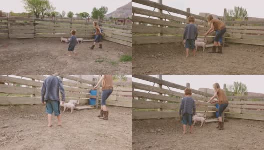 小男孩和少女姐姐追逐小猪在美国西部的农场生活在严肃的时期高清在线视频素材下载