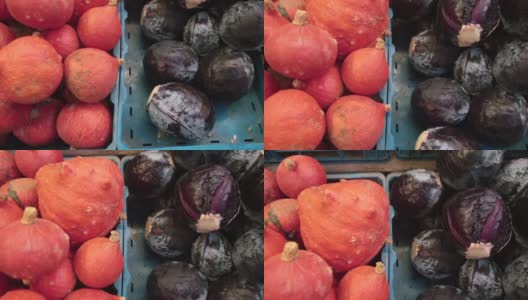 南瓜，红卷心菜堆放在市场货架上零售蔬菜市场高清在线视频素材下载