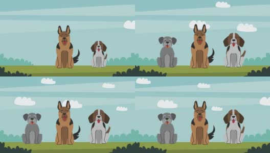 三只狗在田野里做吉祥物动画高清在线视频素材下载