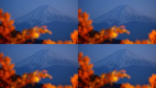 富士山和雪峰在晚上在川口町高清在线视频素材下载