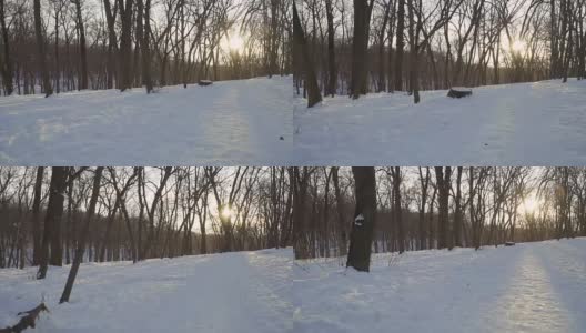 美丽的冬天公园高清在线视频素材下载